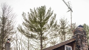 Ein rustikales Blockhaus mit einer Holztreppe, die zu einer Tür führt, auf der "Willkommen bei unserem Pool" steht.