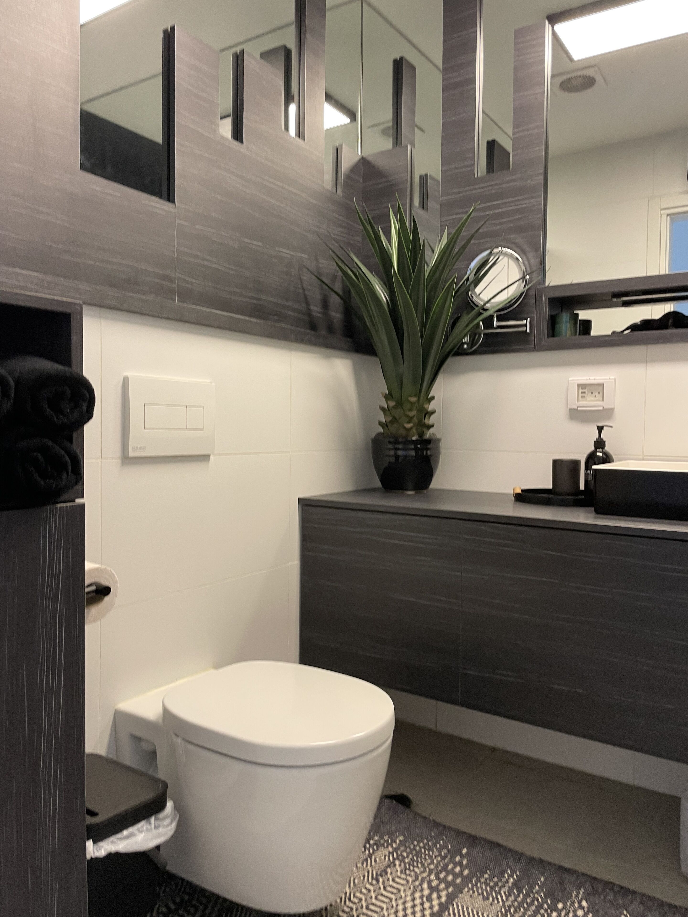 Une salle de bain moderne avec des toilettes blanches, un meuble-lavabo en bois foncé et une plante en pot.