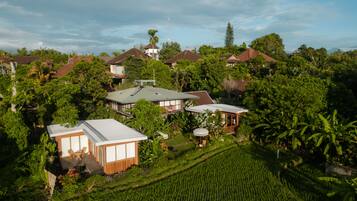Pemandangan dari udara