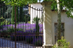 Detalle exterior