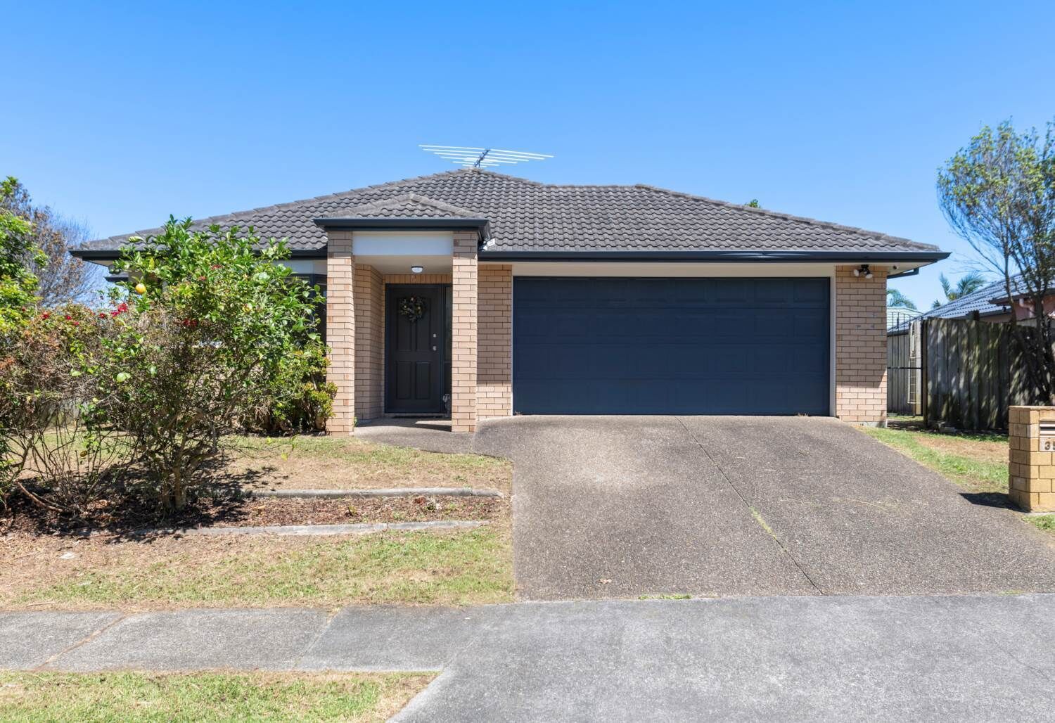 Foto - Botany Palms Motel