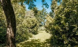 Property grounds - De Toekomst 70 Comfortable family home near the North Sea (Ouddorp)