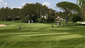 Un parcours de golf avec une pelouse bien entretenue, des bunkers de sable et un grand arbre.
