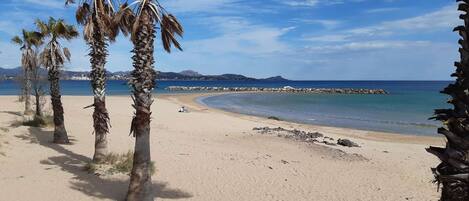 Playa en los alrededores