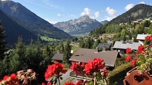 Miscellaneous - Charming apartment near center and cable car with parking (Châtel)