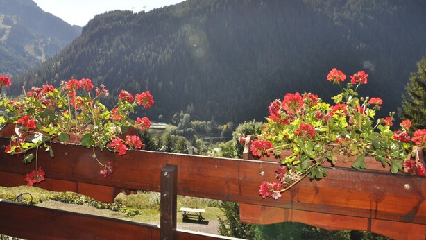 A wooden bench with red flowers in front of a mountainous landscape. - Charming apartment near center and cable car with parking (Châtel)