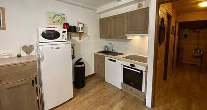 Charming apartment near slopes with parking and pets allowed