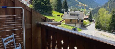 المنطقة المحيطة بالمنشأة