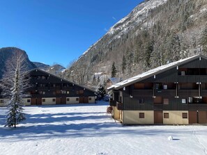 Exterior - Renovated apartment near village center (Abondance)