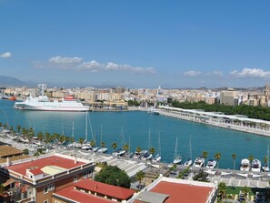 Un puerto deportivo con barcos, un gran crucero y un paisaje urbano al fondo.