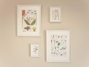 Four framed botanical illustrations on a wall.