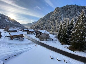 Miscellaneous - Quiet studio with balcony and parking near Châtel center (Châtel)