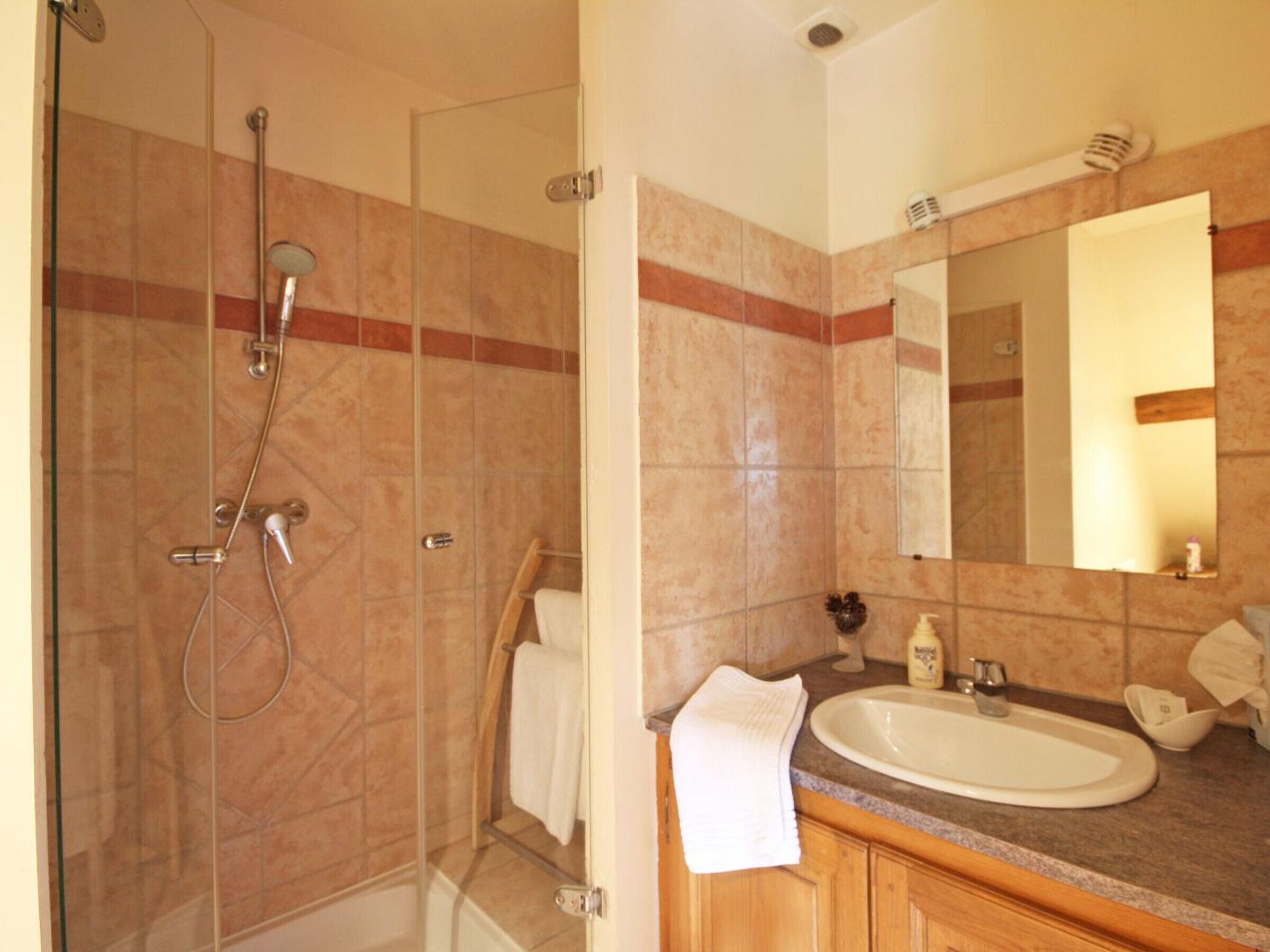 Un baño con ducha de vidrio, lavamanos con espejo y armarios de madera.