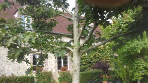 Ein Gebäude aus Stein mit einer Ziegelauffahrt, ein Baum im Vordergrund und ein Garten mit Topfpflanzen und Gartenmöbeln.