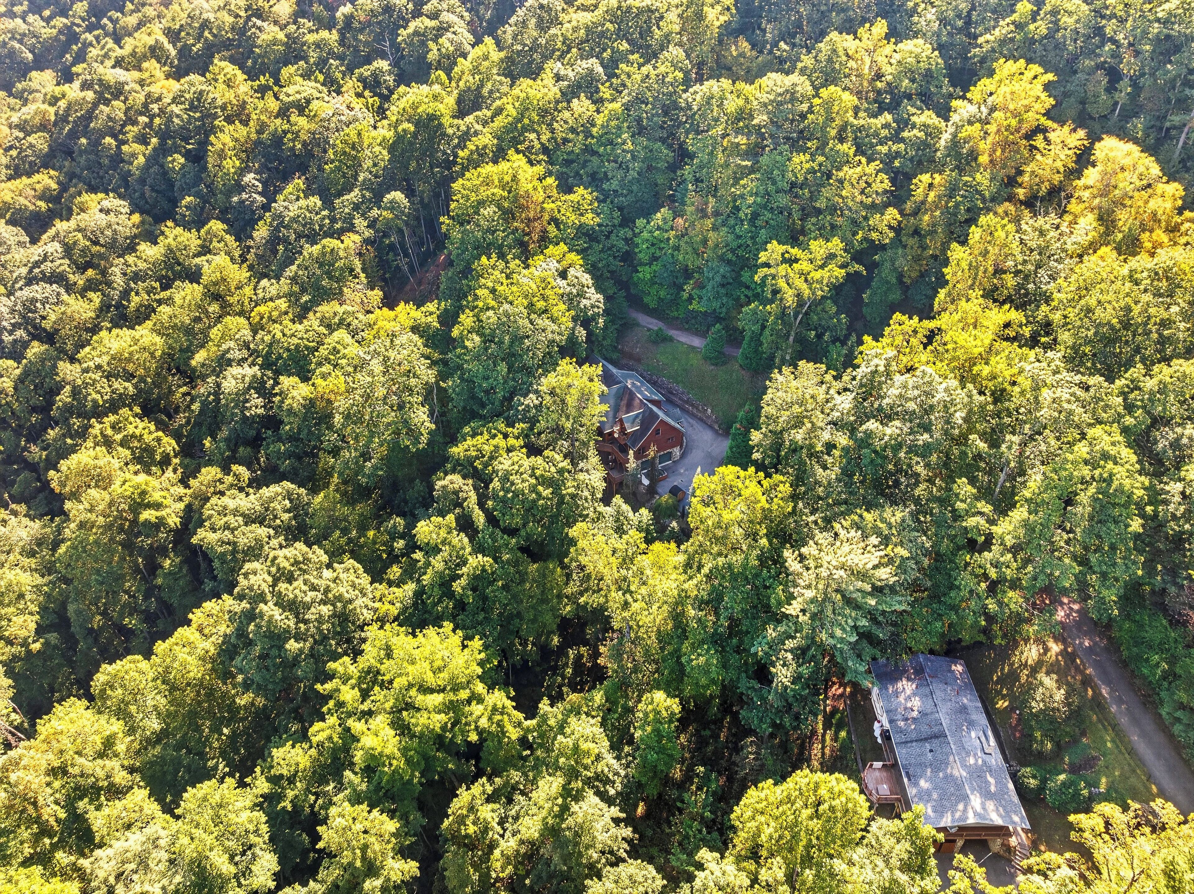 An aerial view of a forested area with a building surrounded by dense trees.