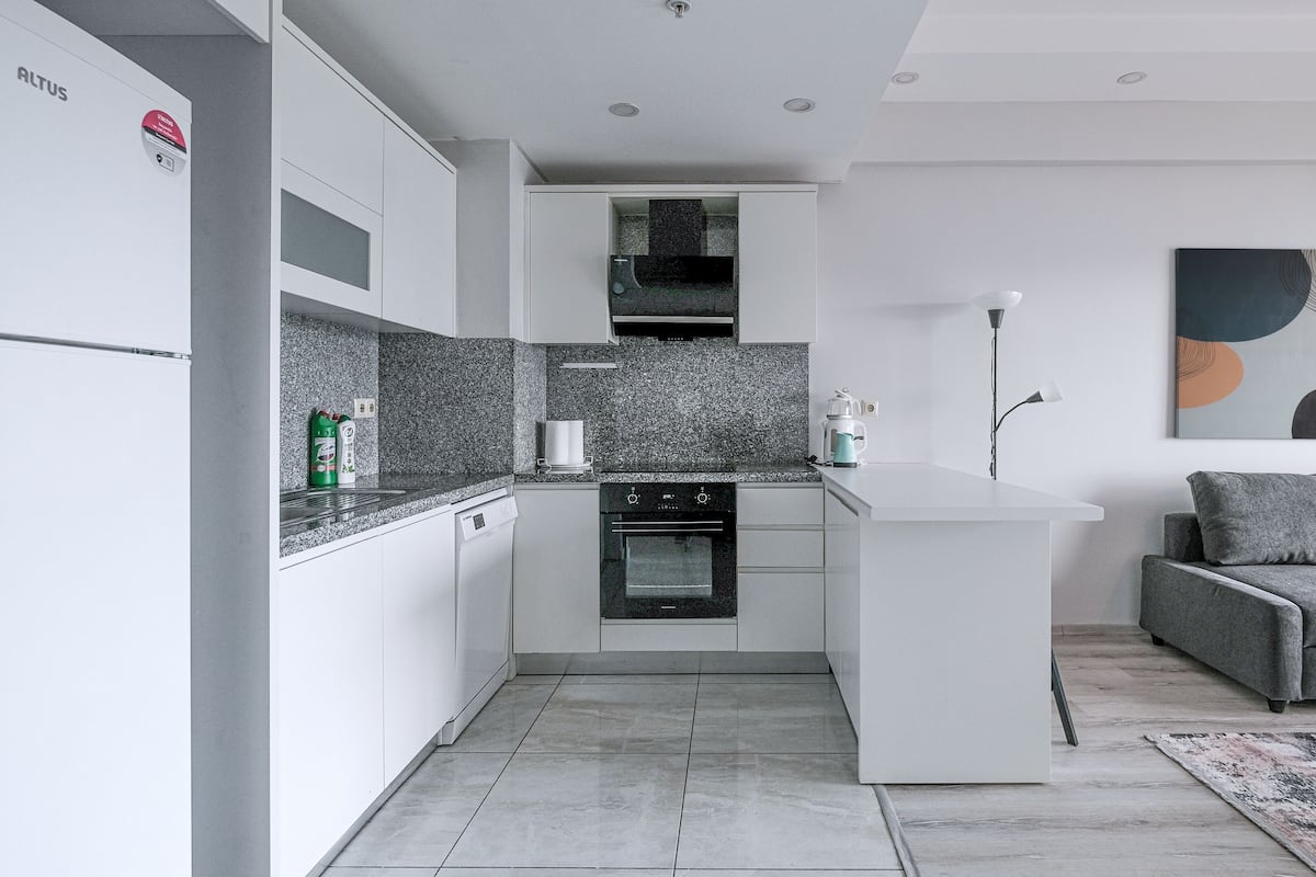 Deluxe Apartment | Private kitchen | Fridge, oven, dishwasher, coffee/tea maker