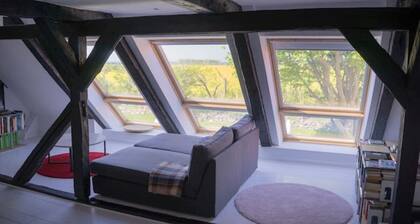 Entire historic farmhouse with over 650 sqm & sea view