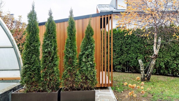 A modern building with a wooden facade, a garden with coniferous trees, and a clear sky.