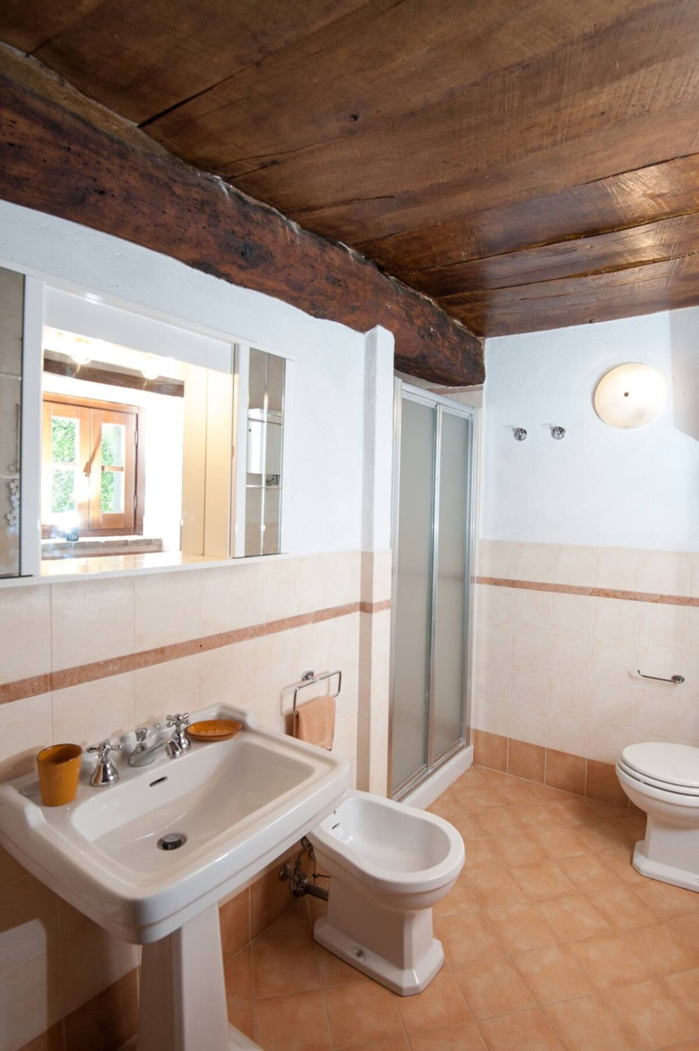 A bathroom with a sink, toilet, and shower.