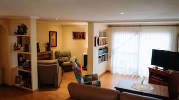 Televisión, chimenea, videojuegos y reproductor de DVD