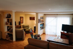 Televisión, chimenea, videojuegos y reproductor de DVD 