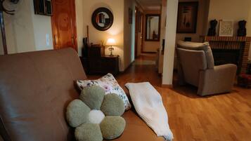 TV, fireplace, video games, DVD player