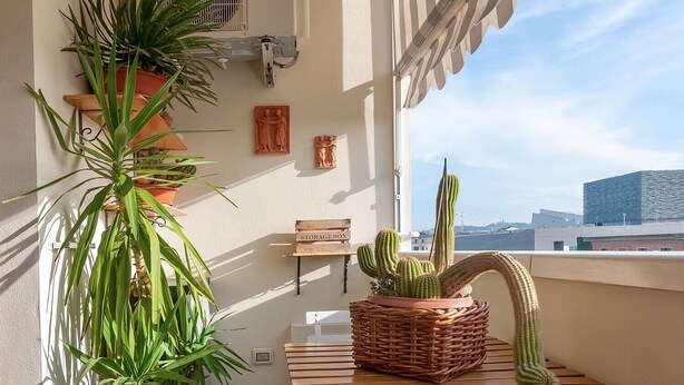 Ein Balkon mit einem Korbwäschekorb, der Kakteen, eine Holzbank und Blumentöpfe enthält.