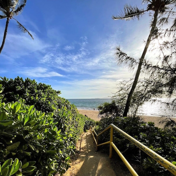Playa en los alrededores