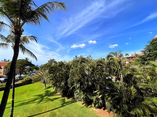 A lush garden with palm trees and a clear blue sky. - Maui Vista #3-319 Steps to Kamaole Beach I, Pickleball Courts, Full A/C, Wifi (Kihei)
