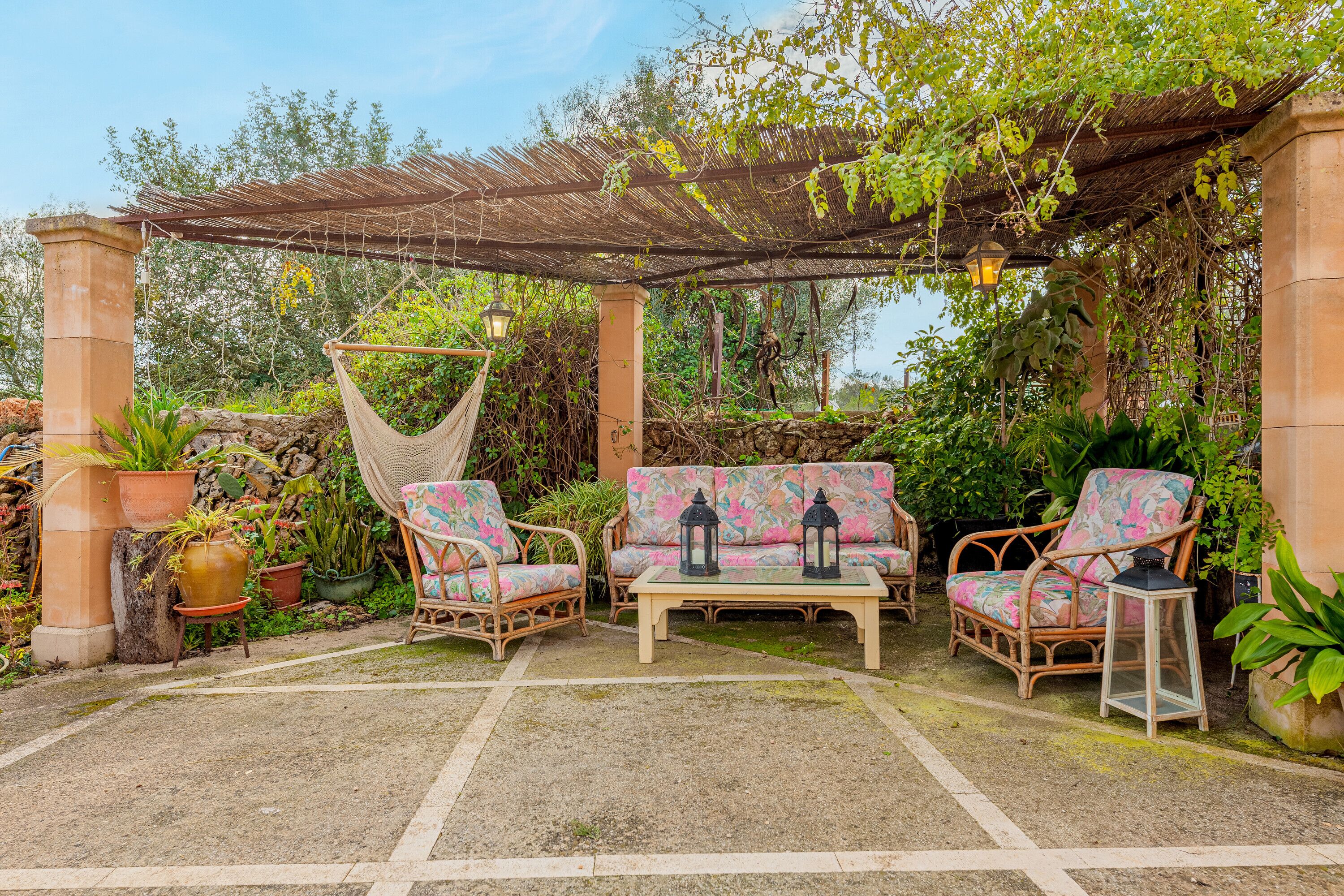 テラス / パティオ