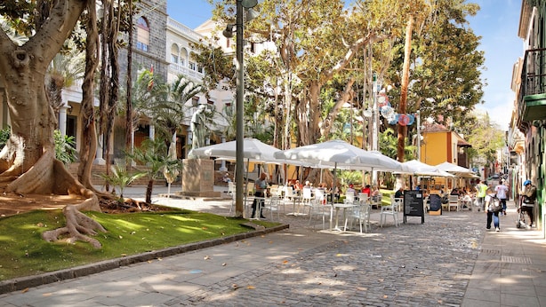 Una calle adoquinada bordeada de árboles y con terrazas al aire libre.