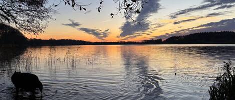 Un llac tranquil al capvespre amb la silueta d'un os en l'aigua.