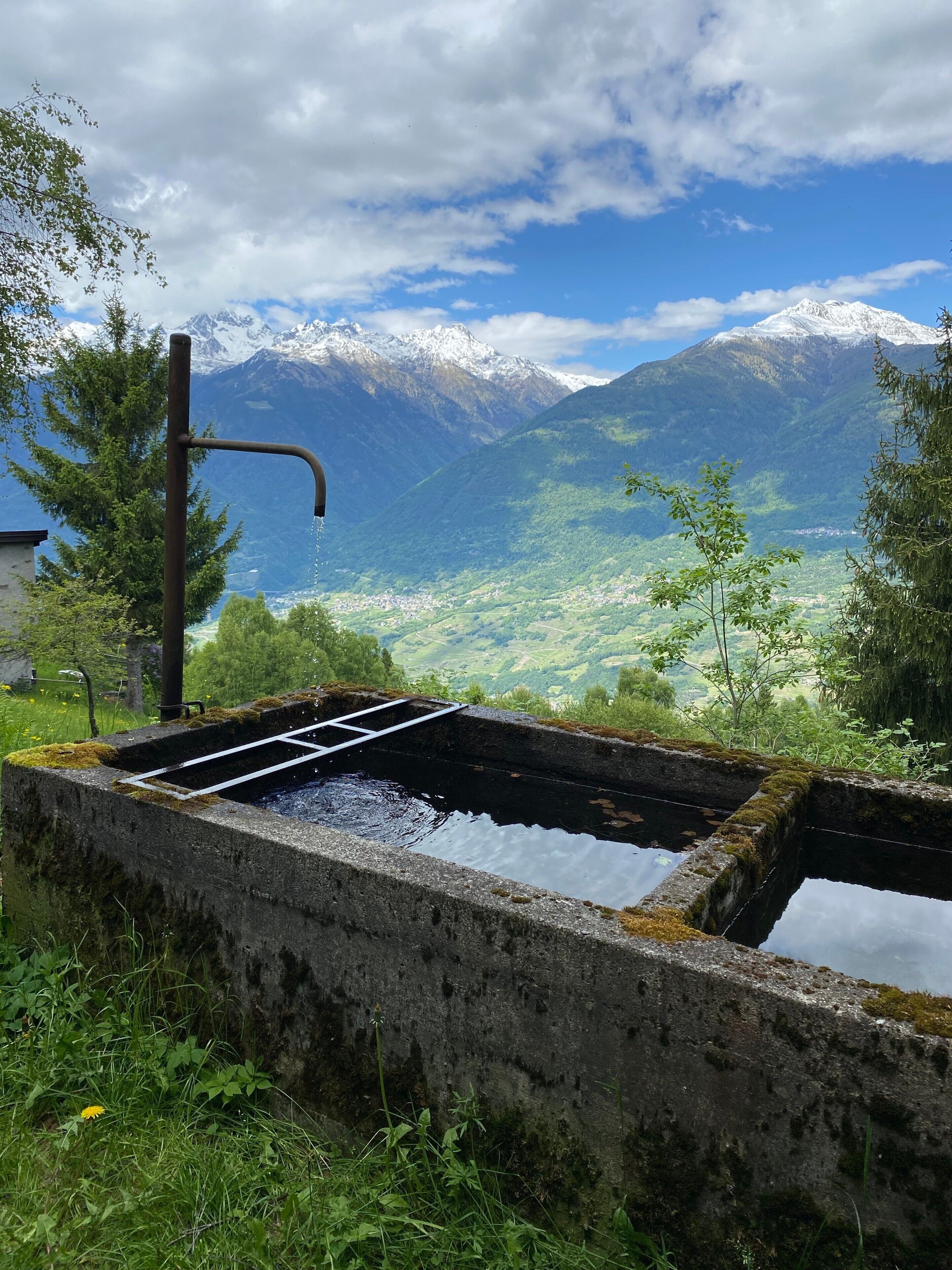 Parco della struttura