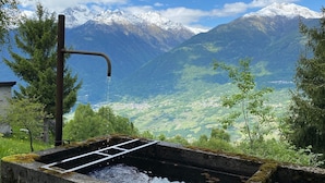 Ein Tränkbecken mit einem Metallgitter, umgeben von Grünpflanzen und einer Berglandschaft mit schneebedeckten Gipfeln.
