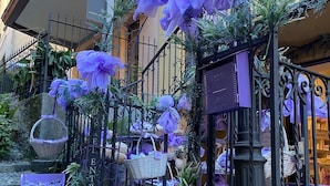 Ein Innenhof mit schmiedeeisernen Gittertoren, einer Steintreppe und violetten Blumen.