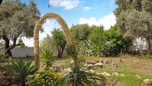 A garden with various plants, a cactus, and a tree with a curved branch.