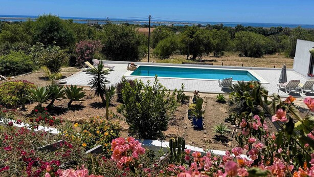 A pool surrounded by greenery and a clear view of the sea.