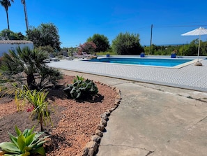 A swimming pool with lounge chairs, surrounded by a patterned patio and various plants.