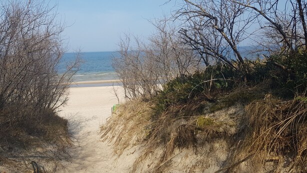 A sandy path leading to a beach with sparse vegetation and a clear view of the sea. - Vacation apartment 03 for friends (Zinnowitz)