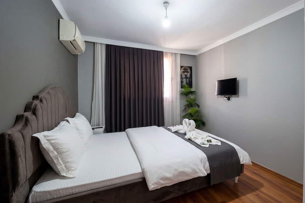 A hotel room with a bed, a TV, and a plant.