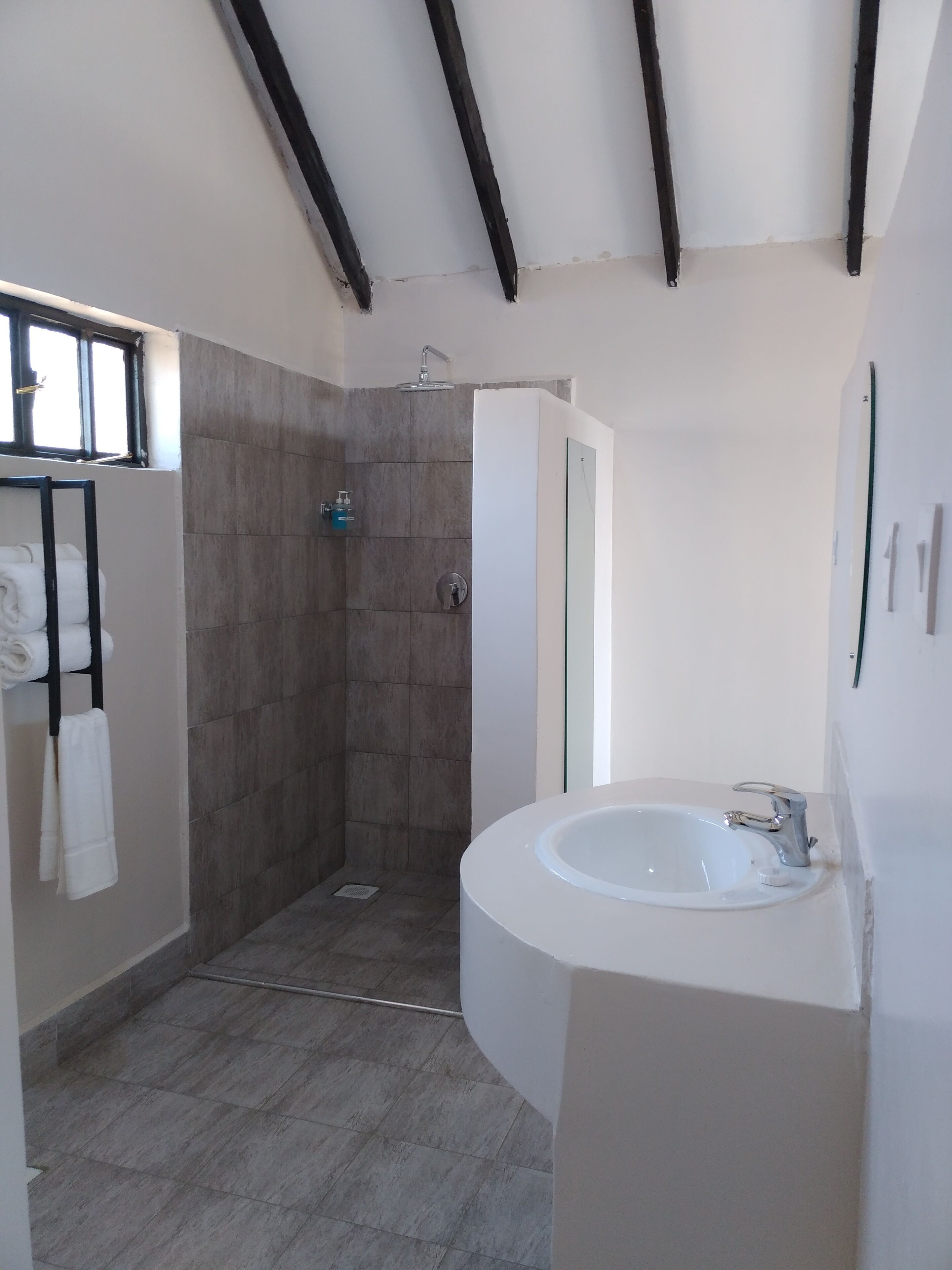 Een moderne badkamer met een douche, een wastafel en een handdoekhouder.
