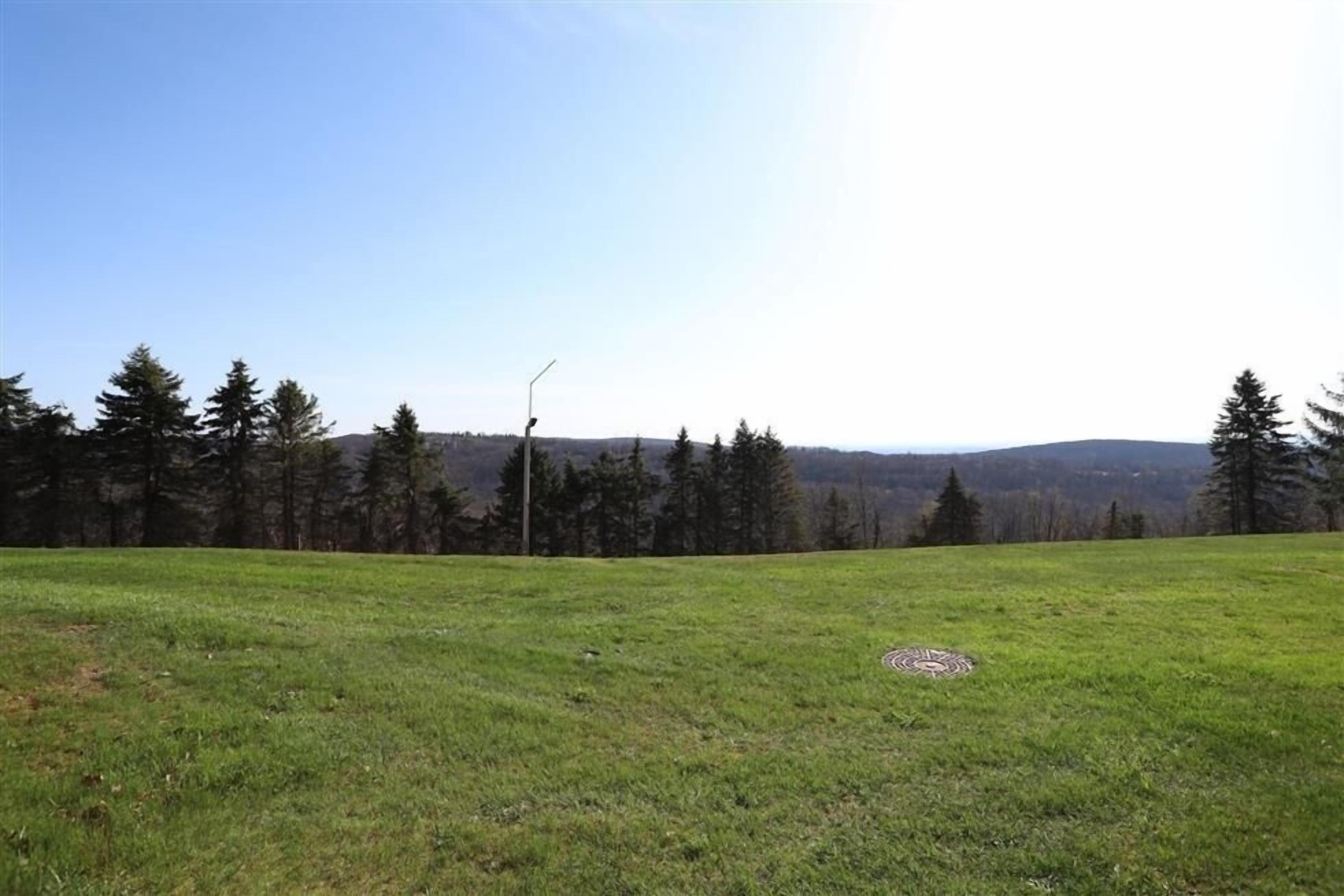 A grassy field with a manhole cover, trees, and a distant mountain range.
