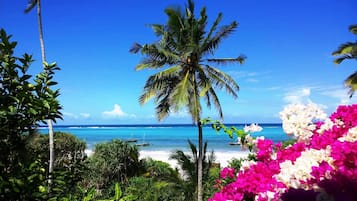 On the beach, sun-loungers, beach towels