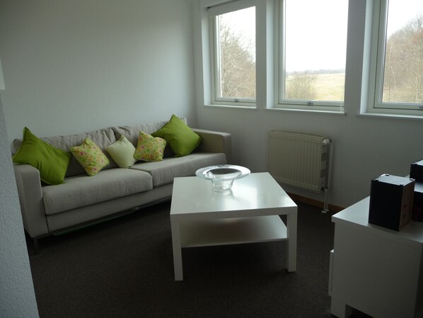 Televisión, reproductor de DVD, libros y videoteca 