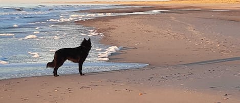 Spiaggia