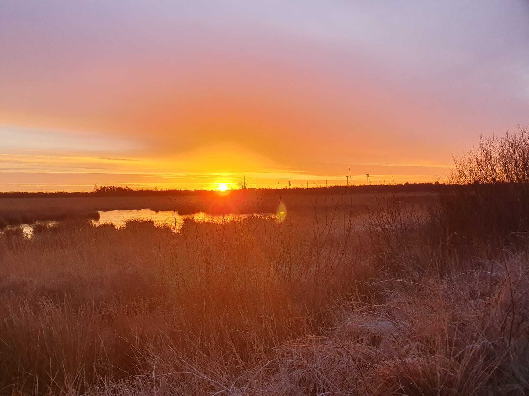 A sunset over a marshy landscape with a body of water and sparse vegetation.