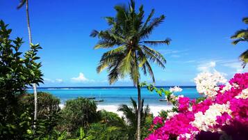 Accommodatie ligt op het strand, ligstoelen, strandlakens