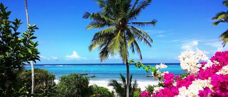 On the beach, sun loungers, beach towels