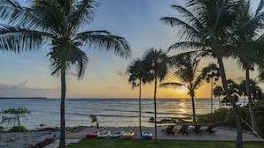 A beach view with palm trees, a pool, and lounge chairs. - Quiet Home on Beautiful Private Beach w/ Pool (Tulum)