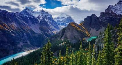 NEW!The Sinez by SSR Top Luxury|1000SQF|2BR&2BTH ( BL# RES- 11741 )